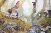 Este es el nuevo género de canguro gigante prehistórico de Papúa Nueva Guinea