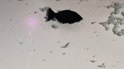 Peces robóticos comedores de microplásticos podrían limpiar los océanos de estos peligrosos contaminantes