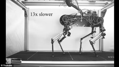 El perro robot puede caminar después de UNA hora de entrenamiento, ya que los científicos esperan que pueda jugar a buscar en el futuro