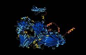 La IA predice la estructura de casi todas las proteínas conocidas por la ciencia