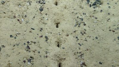 Descubren agujeros inexplicables a 2.500 metros de profundidad en el entorno de las Azores
