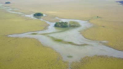 El misterio de la enorme ciudad prehispánica encontrada en medio de la Amazonia de Bolivia