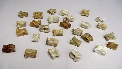 El misterio de Astragaloi, el juego de huesos que los griegos usaban para adivinar su destino