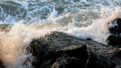 Hallan vida bajo el suelo oceánico