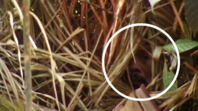 ¿Quién es el ‘hombre del agujero’? El último miembro de una tribu en Brasil que vivó aislado durante 26 años