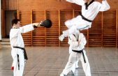 Día Internacional del Taekwondo