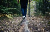 Caminar una hora por el campo reduce el riesgo de enfermedad mental