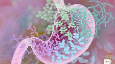 El próximo tratamiento para depresión puede estar en tu intestino