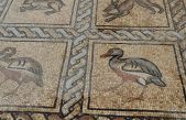 Agricultor descubre impresionante mosaico de la era bizantina en un huerto de Gaza