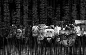 Descubren cómo los recuerdos del miedo se atascan en el cerebro