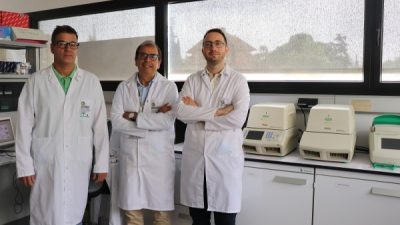 Identifican un nuevo mecanismo que interviene en la función reproductiva
