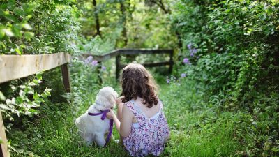 Acariciar perros activa regiones cerebrales críticas en las personas