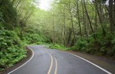 Día Mundial de la Carretera / contra el Fracking / del Dulce de Leche