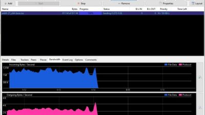 Tixati: Un cliente alternativo para todas tus descargas BitTorrent