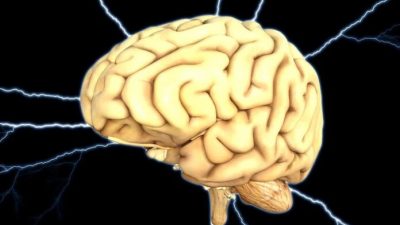 ¿Quién dijo que solo usamos un 10% de nuestro cerebro?