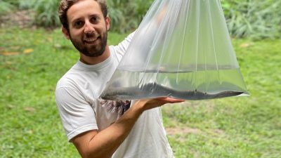 Grabaciones inéditas de animales revelan los orígenes de la comunicación vocal en los vertebrados