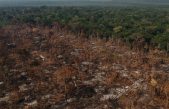 Estiman el aumento de la deforestación que se registrará si se autoriza la minería en la Amazonia