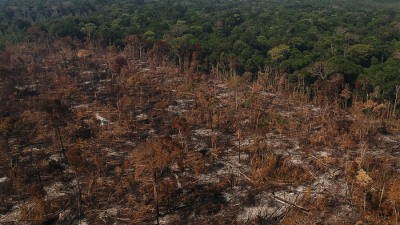 Estiman el aumento de la deforestación que se registrará si se autoriza la minería en la Amazonia