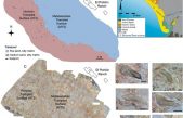 Analizan unas huellas que indican la presencia del hombre en Huelva en el Pleistoceno Medio, 200.000 años antes de lo que se pensaba