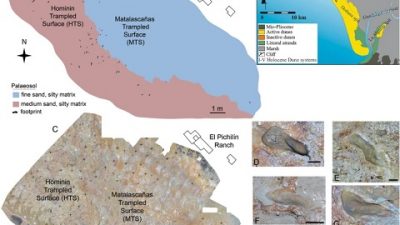 Analizan unas huellas que indican la presencia del hombre en Huelva en el Pleistoceno Medio, 200.000 años antes de lo que se pensaba