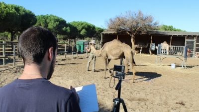 Un modelo matemático permite, por primera vez, obtener medidas tridimensionales de animales a partir de fotografías 2d