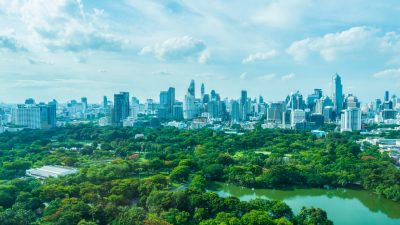 Ciudades Bosque: La naturaleza conquista el corazón urbano