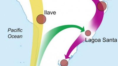 Reconstruyen mediante la genética humana la compleja historia de cómo se pobló América