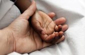 Día Mundial de la Adopción