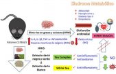 Té, hipertensión, obesidad y diabetes