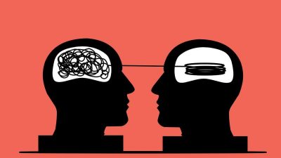 El cerebro dispone de un sofisticado módem para gestionar la cognición
