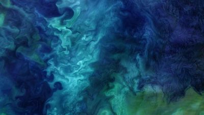 Floraciones submarinas dejan ver un mundo oculto en los polos de la Tierra