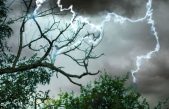 ¿Si te pones debajo de un árbol durante una tormenta hay más posibilidades de que te caiga un rayo?