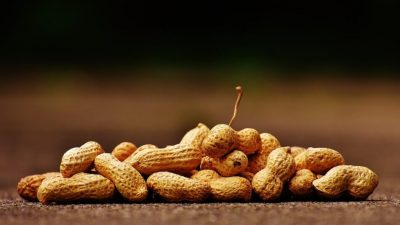 Cacahuetes y hierbas aromáticas para mejorar tu microbiota