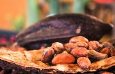 Día Nacional del Cacao