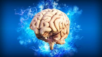 El cerebro humano es 10 veces más suave que la espuma de poliestireno: es como de gelatina