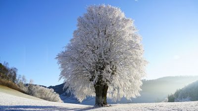 Solsticio de Invierno