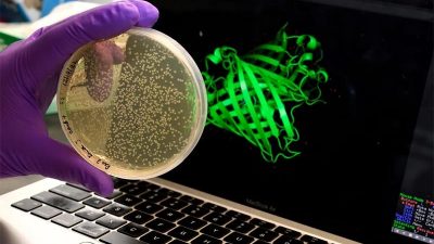 El sorprendente comportamiento de las proteínas podría ayudarnos a entender el envejecimiento