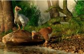 Una empresa multimillonaria de biotecnología planea revivir al dodo