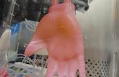 Guantes hechos de células de piel humana para injertos
