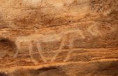 Descubierta una cueva con grabados prehistóricos inéditos en la Febró, Cataluña