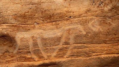 Descubierta una cueva con grabados prehistóricos inéditos en la Febró, Cataluña