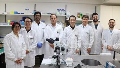 Investigadores israelíes desarrollan un microrrobot capaz de reparar con precisión células dañadas