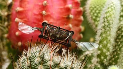 Robot insectoide capaz de volar incluso con daños