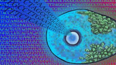 El ADN de algunos microbios oculta 30.000 nuevos virus que podrían propagarse