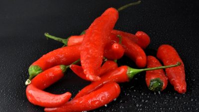 Nanopartículas y chile: una nueva receta científica contra los microbios resistentes