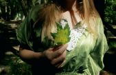 Se puede producir electricidad con plantas aprovechando la fotosíntesis