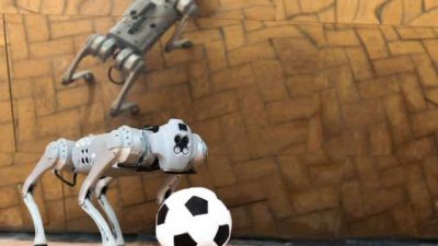 Robot cuadrúpedo al que también enseñan a jugar al fútbol