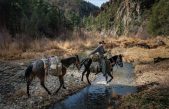 Así se vive en Gila: el desierto de los apaches que luchan por la conservación de la vida silvestre