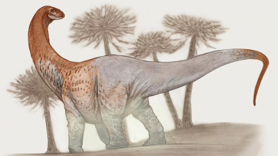 Descubren un dinosaurio herbívoro gigante en la Patagonia argentina