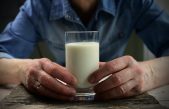 ¿Por qué somos la única especie que toma leche en la edad adulta?